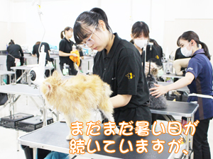 ☆１年生のトリミング実習☆